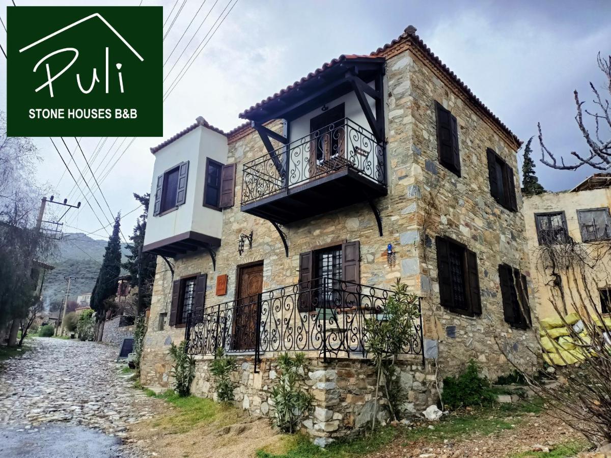 Puli Stone * Doğanbey