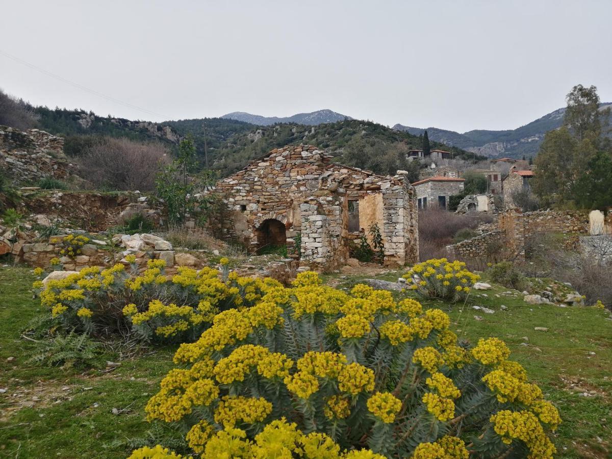 Puli Stone * Doğanbey
